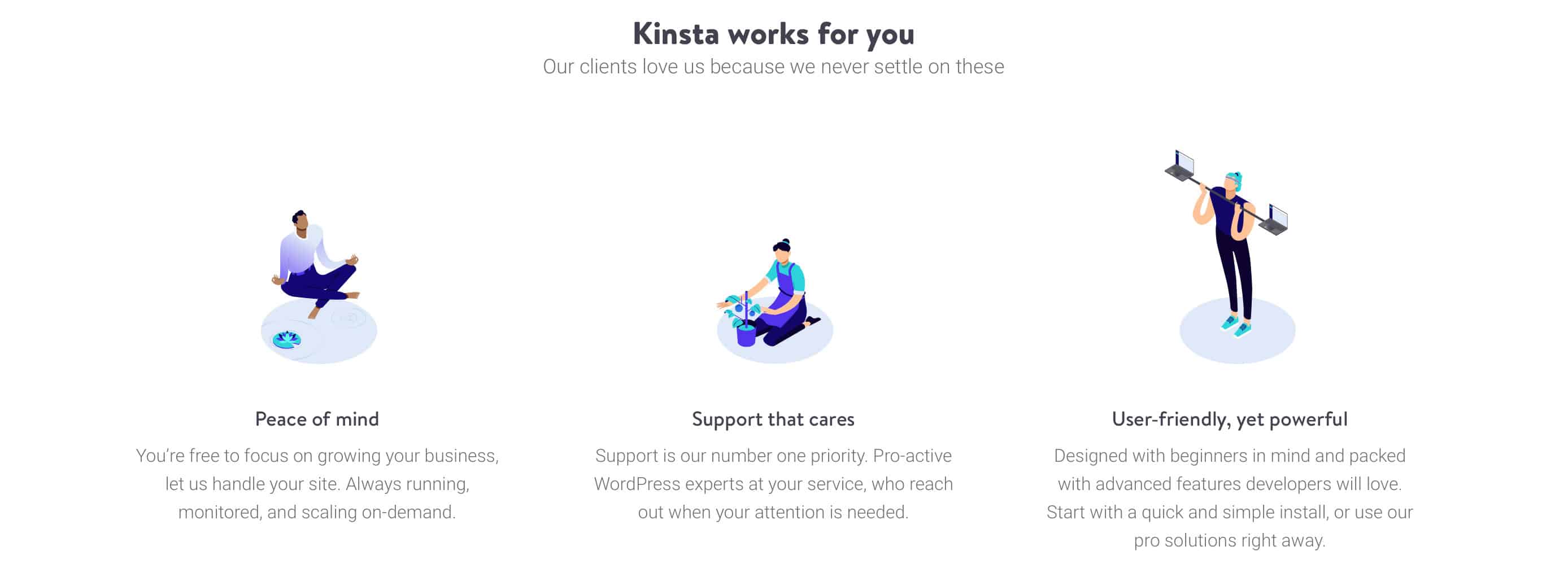 Kinsta Pros and Cons