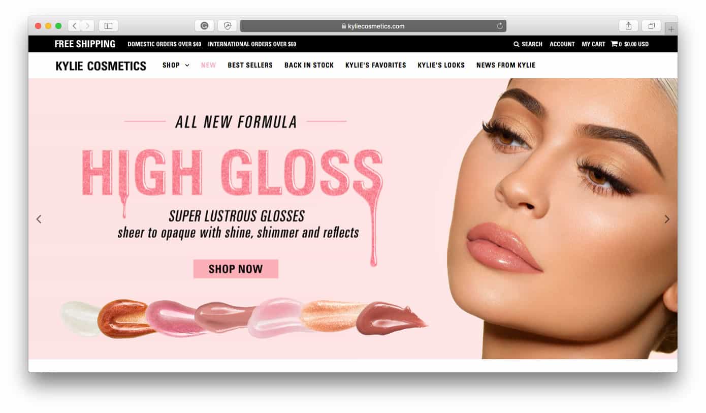 Kylie Cosmetics Successful Shopify Stores