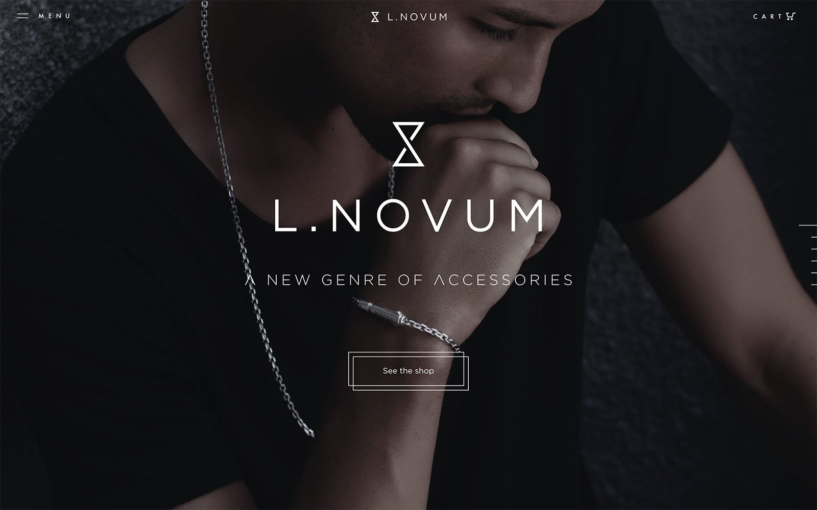 L.Novum Ecommerce Website Design