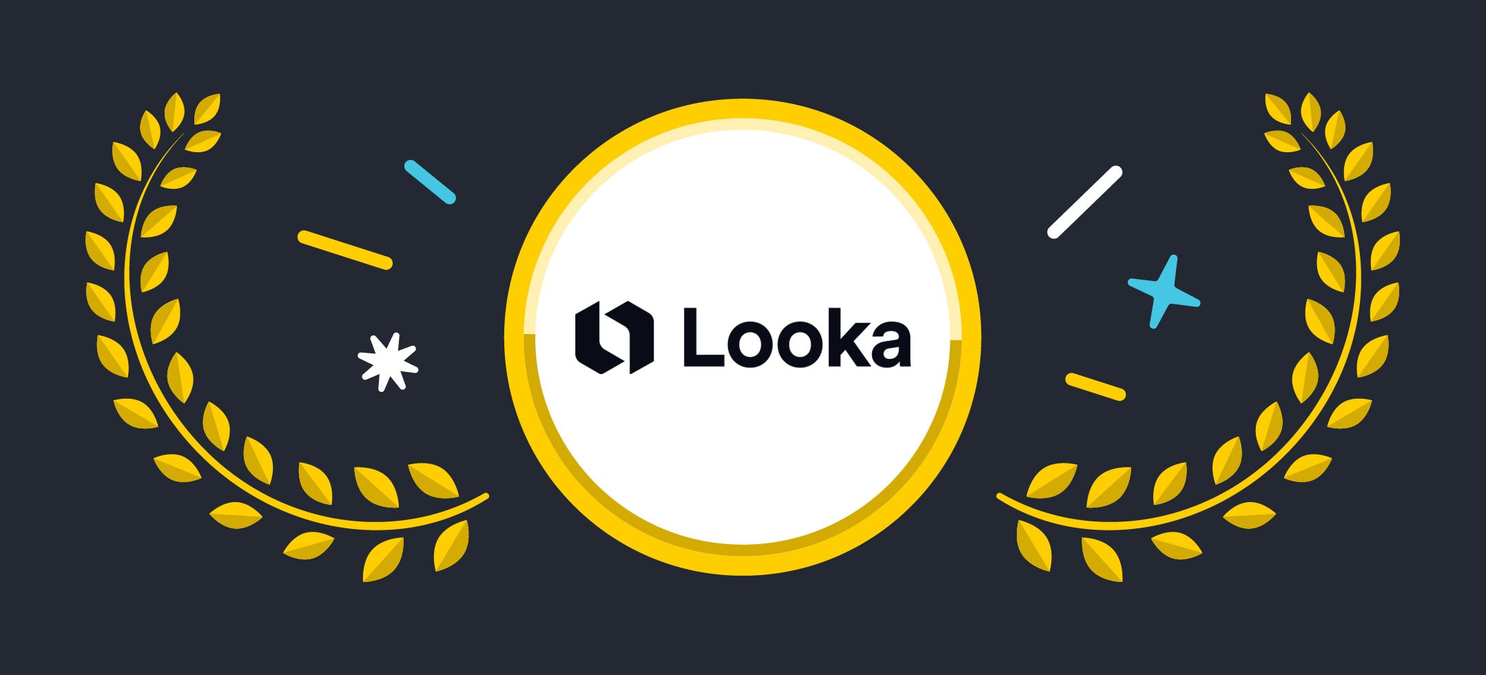 Looka Review