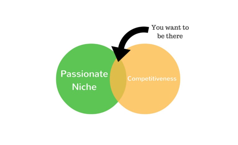 How to Find a Passionate Niche