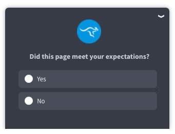 User Experience On-Site Survey Example